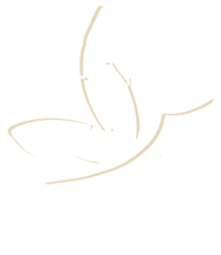 France Beauté Institut 4 centres de beauté en Loire et Haute-Loire